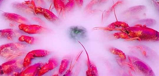 如何選擇山西高純氣體管道配管及附件材料？